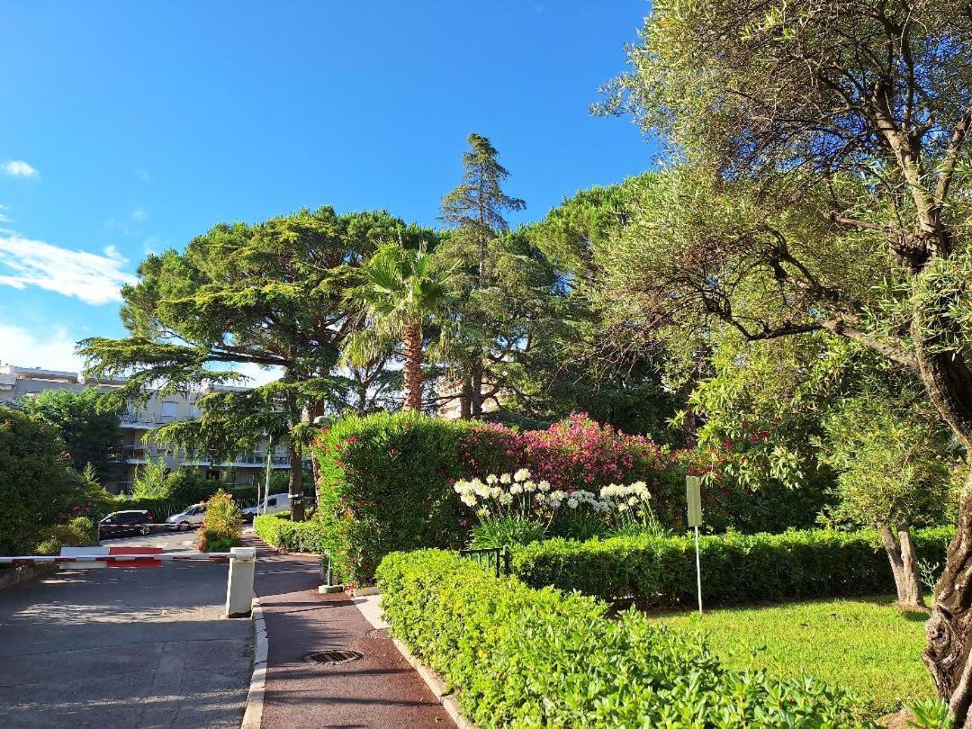 Les Pins Charming