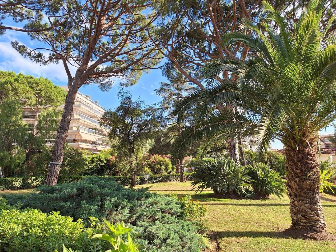 Les Pins Charming Apartment Juan-les-Pins