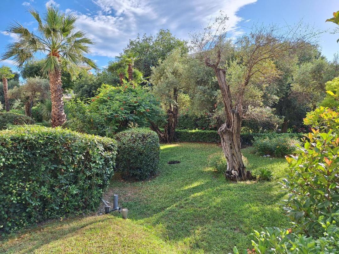 Appartement Les Pins Charming Juan-les-Pins